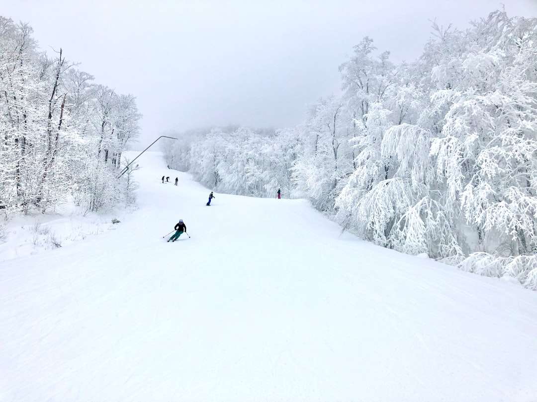 Top Ski Resorts in Canada for Winter Fun
