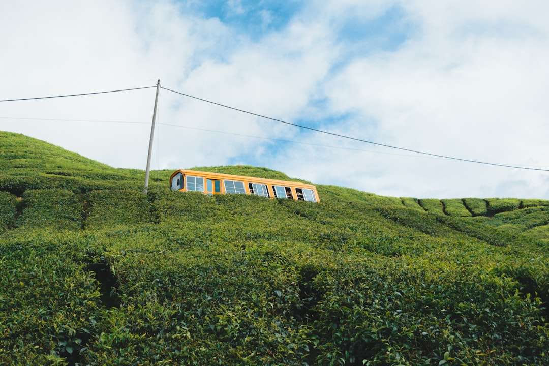 Escape to Cameron Highlands: Day Trip Guide