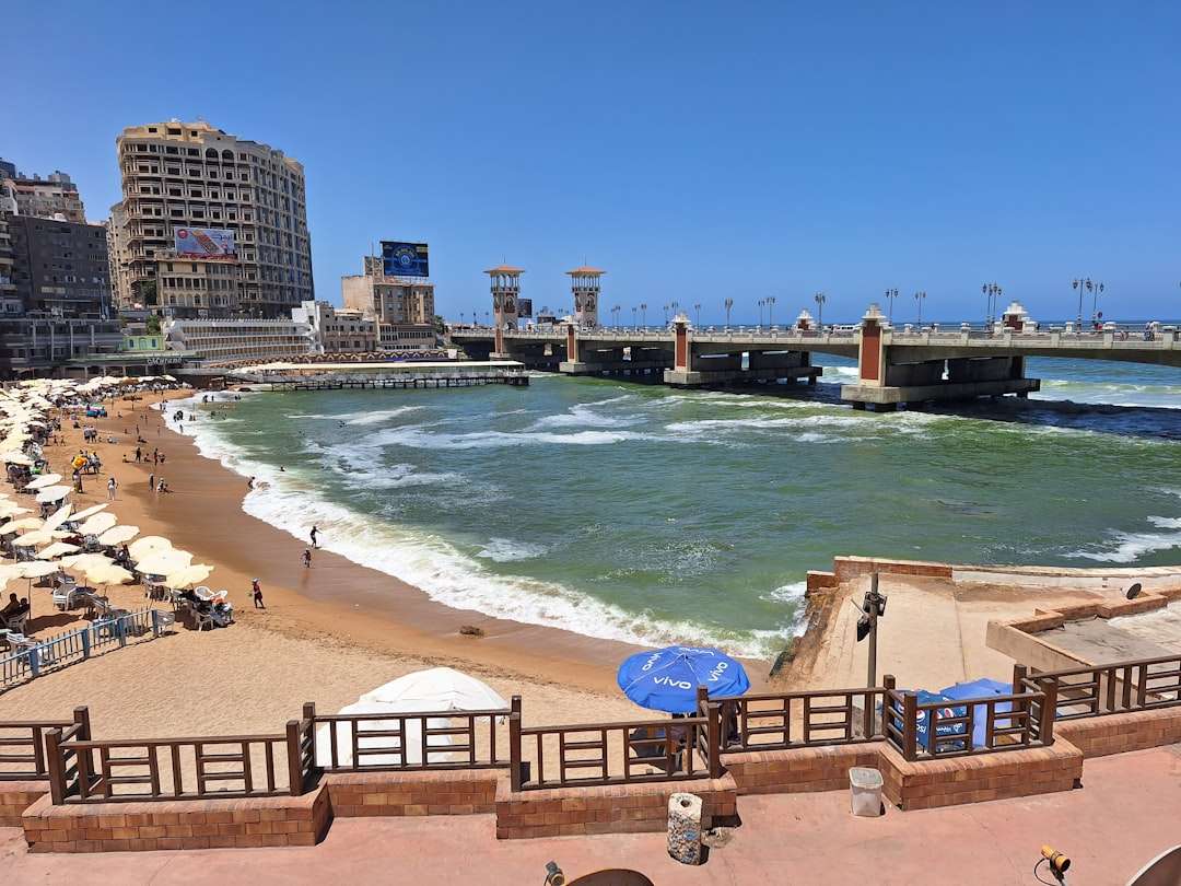 Best Places to Stay in Alexandria