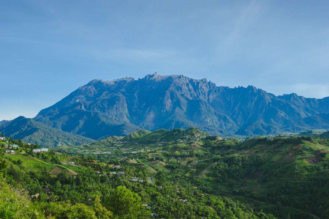 Top Stays in Sabah: From Resorts to Jungle Lodges