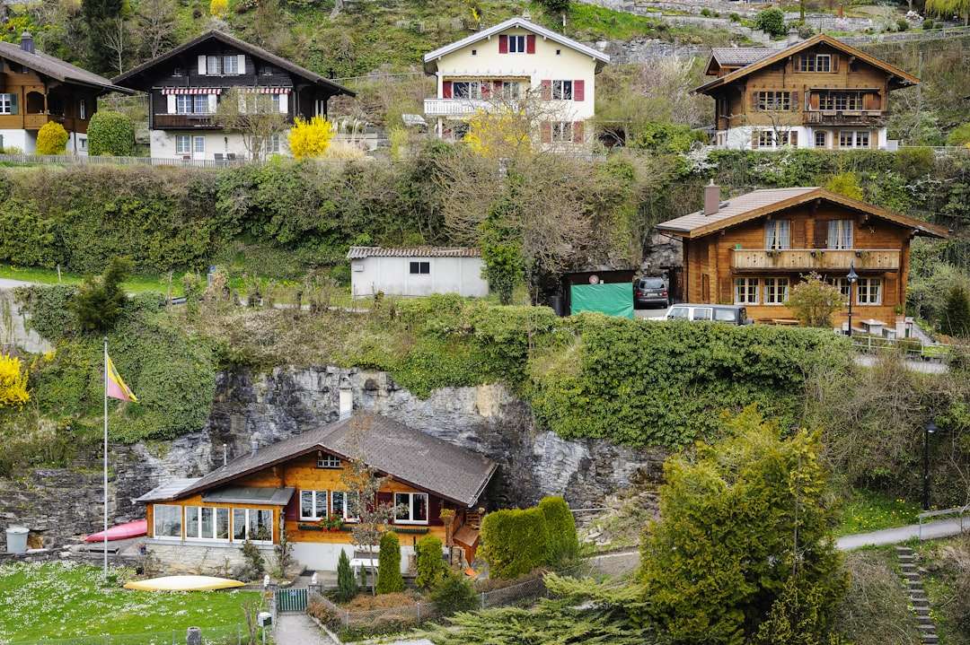 Navigating Swiss Bureaucracy as an Expat
