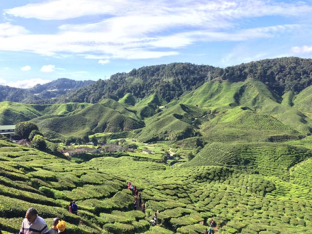 Understanding Malaysia's 2024 Tourist Visa