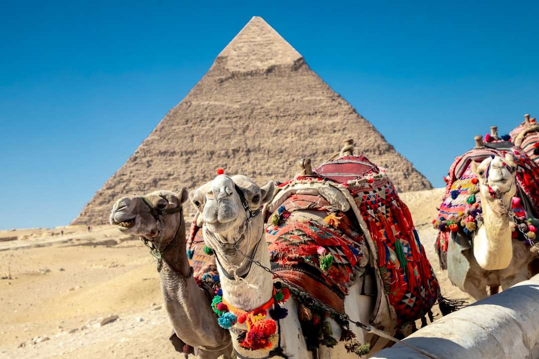Explore Egypt's Iconic Film Locations